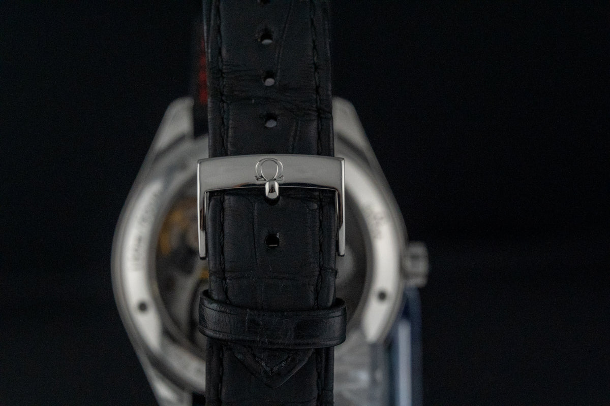 2013 Omega Seamaster Aqua Terra XXL 231.13.49.10.06.001 Grey Dial 49.2mm Manual Wind