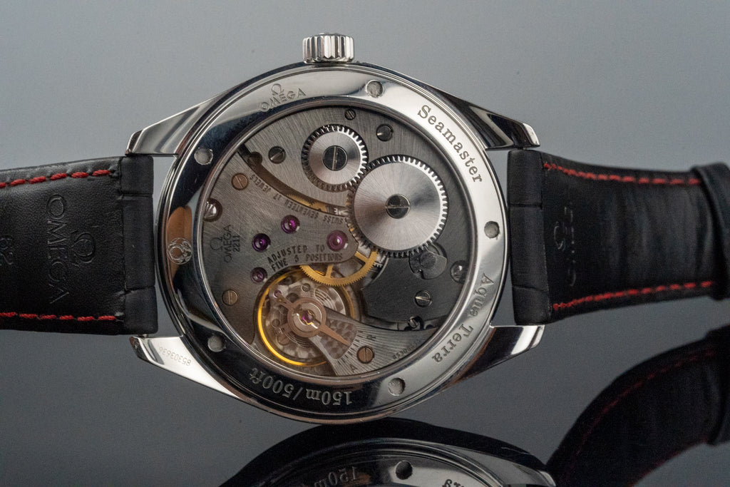 2013 Omega Seamaster Aqua Terra XXL 231.13.49.10.06.001 Grey Dial 49.2mm Manual Wind