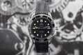 Omega Seamaster Diver 300M 210.32.42.20.01.001 Black Dial Rubber Strap 42mm